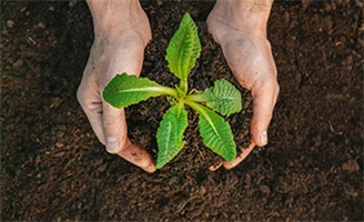 Protecci&oacute;n del medio ambiente